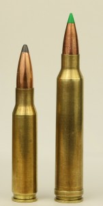 300 Win Mag vs 308 | The Hunting Gear Guy