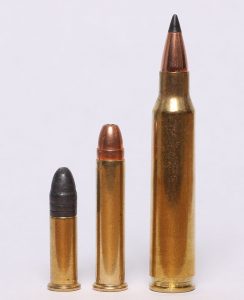 22WMR and 17HMR vs 223 Remington | The Hunting Gear Guy