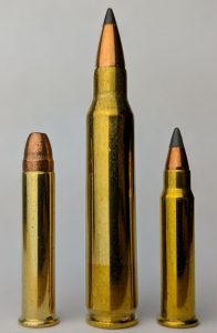 22WMR and 17HMR vs 223 Remington | The Hunting Gear Guy