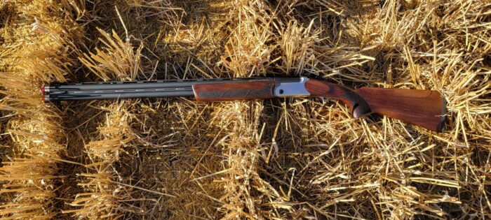 JTS E60.2 Over/Under Review: A Budget-Friendly Workhorse?